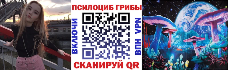 Псилоцибиновые грибы Psilocybe  Купить  Каргополь 